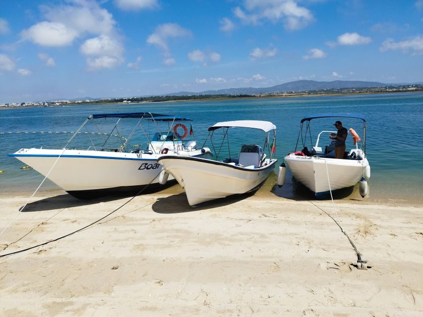 From Olhão: Ria Formosa 3-Island Full-Day Tour - Armona Island or the Deserted Beach: The Tour’s Most Romantic Variable