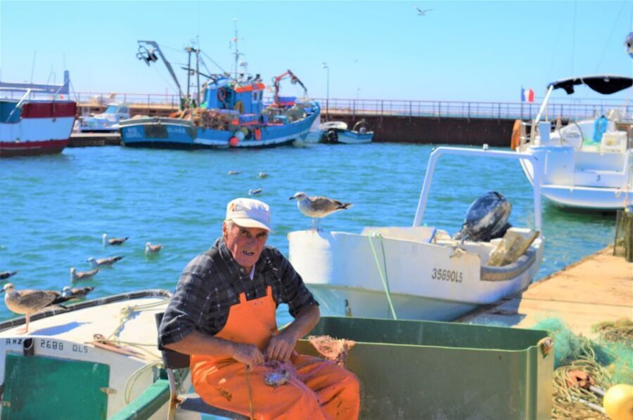 From Olhão: Ria Formosa 3-Island Full-Day Tour - Wildlife and Shellfish: Why This Is More Than a Pretty Cruise