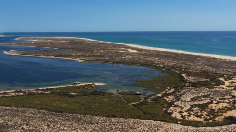 From Olhão: Ria Formosa 3-Island Full-Day Tour - From Olhão to the Islands: How the Boat Day Really Feels