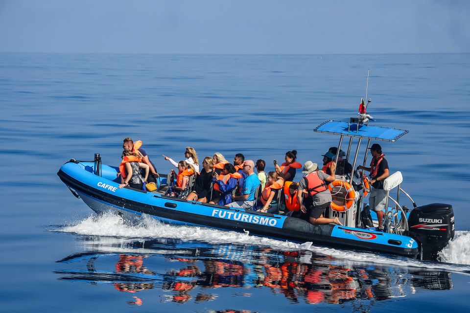 From Ponta Delgada: Whale and Dolphin Watching Trip - The 15-Minute Safety Briefing: How You’ll Watch Better