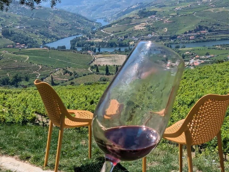 From Porto: 2 Wine Regions, Farm-to-Table Lunch & Boat - The Douro Drive and Estate Views: Photos Plus Context