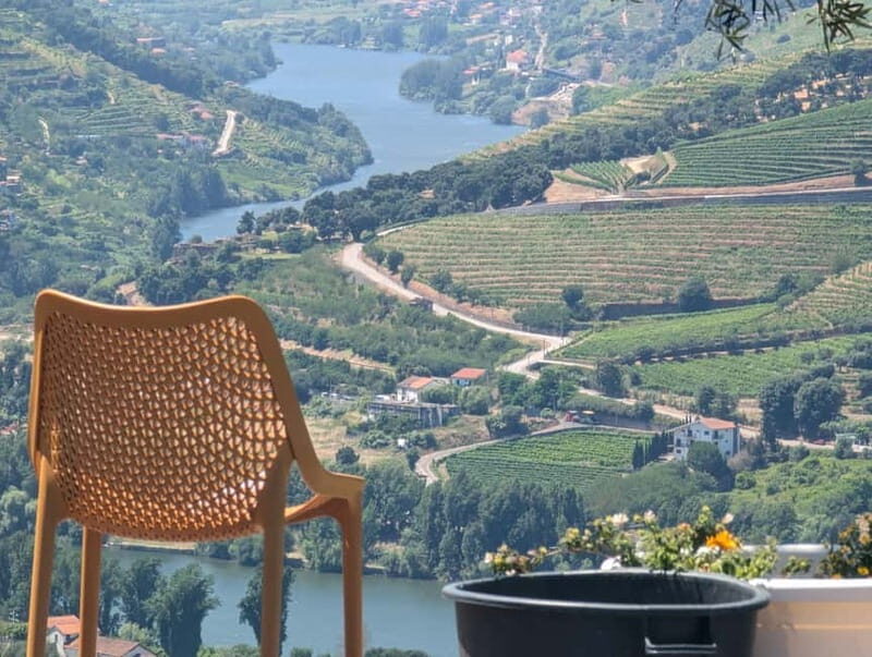 From Porto: 2 Wine Regions, Farm-to-Table Lunch & Boat - The Estate Meal: Farm-to-Table Dining With Wine Pairing