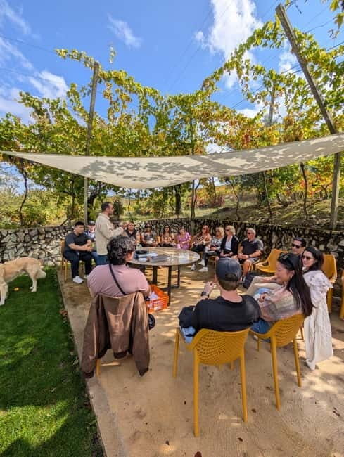 From Porto: 2 Wine Regions, Farm-to-Table Lunch & Boat - 10+ Tastings: What You’ll Actually Be Drinking