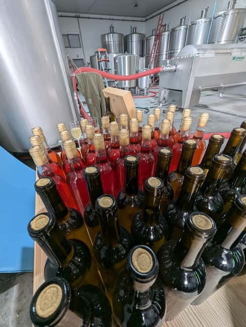 From Porto: 2 Wine Regions, Farm-to-Table Lunch & Boat - Vintage Port With Fire: The Ritual Part Worth Waiting For