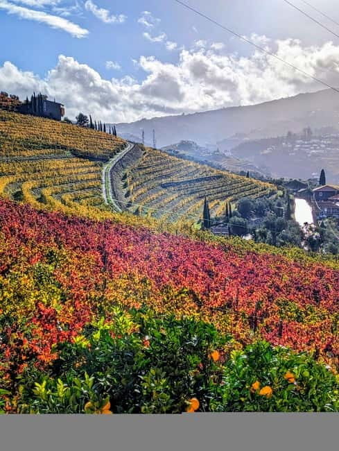 From Porto: 2 Wine Regions, Farm-to-Table Lunch & Boat - Pinhão and the Private Douro Boat Cruise: The View Changes From Land