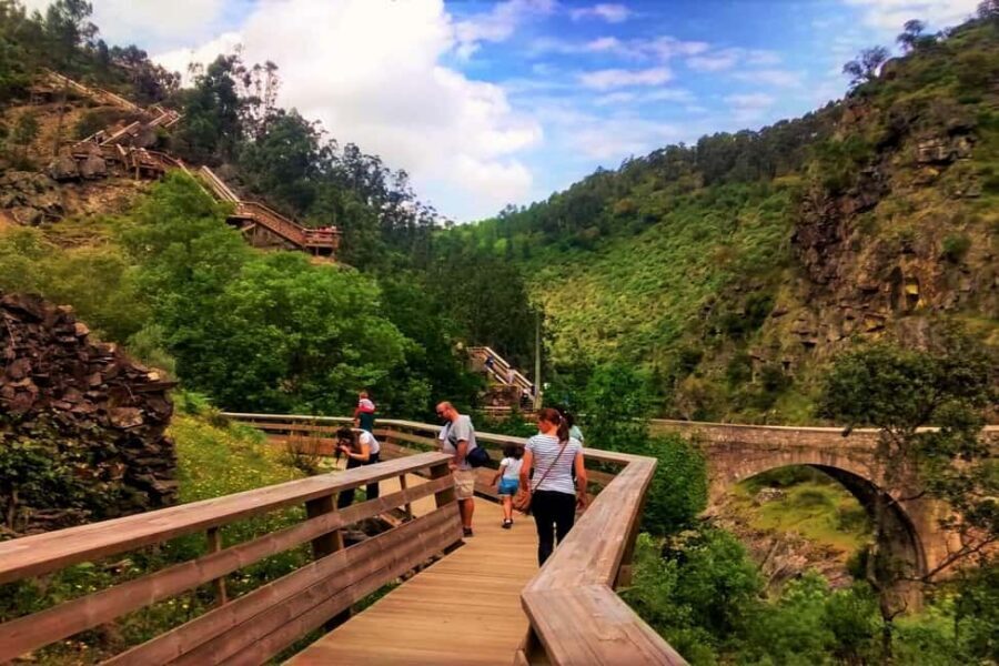 From Porto: Aveiro, Paiva Walkways, & Suspension Bridge Tour - Key highlights you should care about