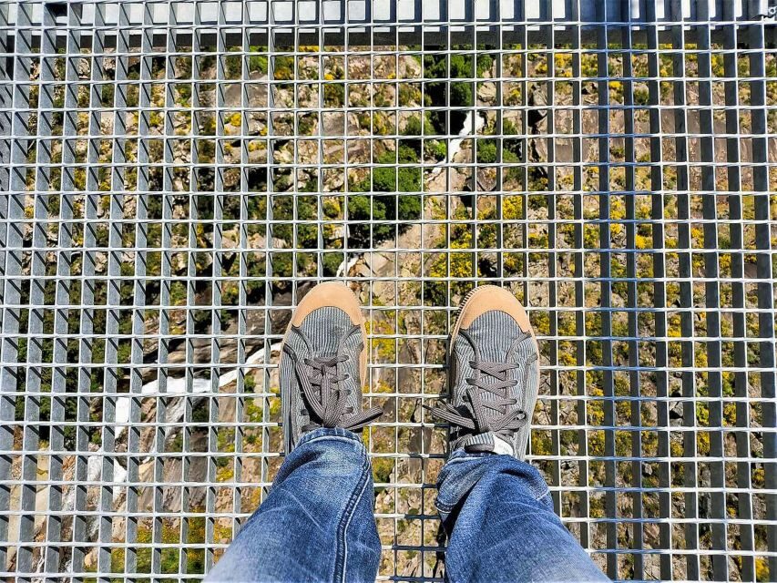 From Porto: Aveiro, Paiva Walkways, & Suspension Bridge Tour - Who this tour fits best (and who should tweak expectations)