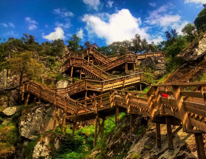 From Porto: Aveiro, Paiva Walkways, & Suspension Bridge Tour - Arouca 516 suspension bridge: EXCLUSIVE slot, height factor, and the skip option