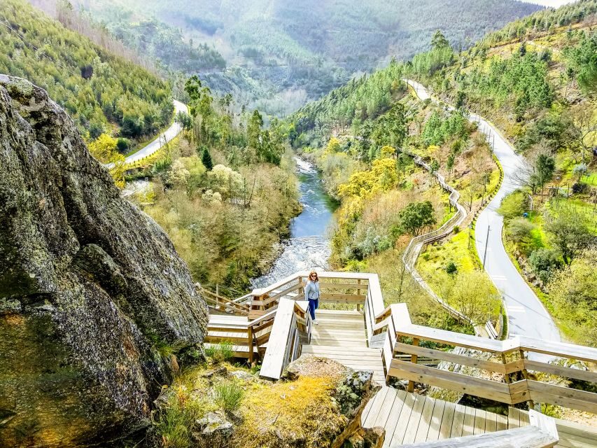 From Porto: Aveiro, Paiva Walkways, & Suspension Bridge Tour - Paiva Walkways (Passadiços do Paiva): a 5 km downhill boardwalk that feels longer than it is