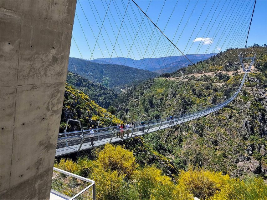 From Porto: Aveiro, Paiva Walkways, & Suspension Bridge Tour - Lunch in Arouca: traditional food that actually powers the rest of your day