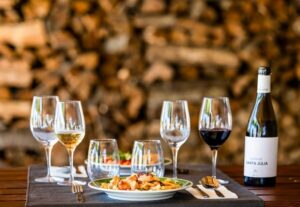 From Porto: Douro Valley w/ Boat Tour, Wine Tasting & Lunch - Port tastings at two different stops, and what you should notice
