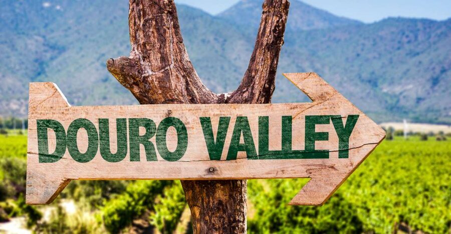 From Porto: Douro Valley w/ Boat Tour, Wine Tasting & Lunch - Pinhão: the second wine stop, plus tasting time with a view mindset