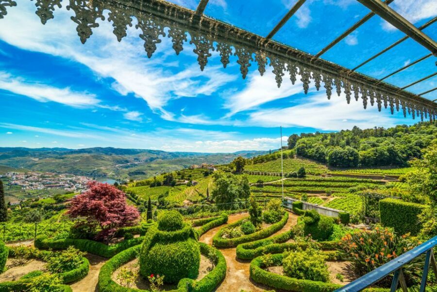 From Porto: Douro Valley w/ Boat Tour, Wine Tasting & Lunch - The N222 scenic drive with viewpoint photo stops