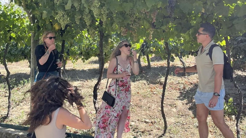 From Porto: Tastings at 2 Wineries, Chef's Lunch & Boat Tour - Olive oil tastings: the small extra that makes food smarter