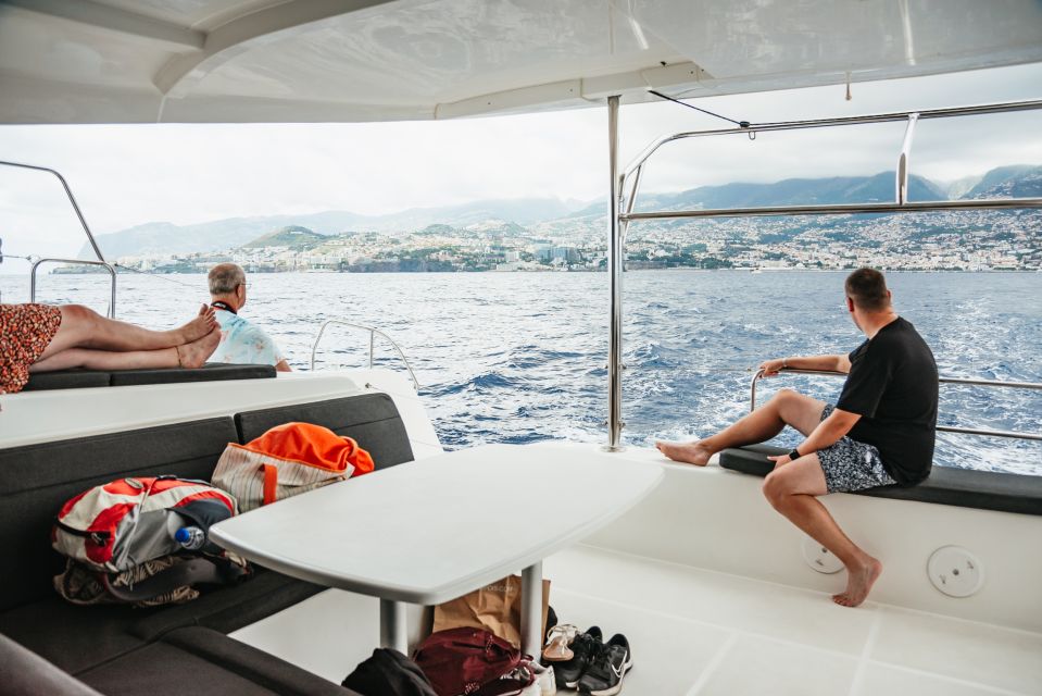Funchal Bay: Dolphin & Whale Watch Luxury Catamaran Cruise - Key highlights worth aiming for
