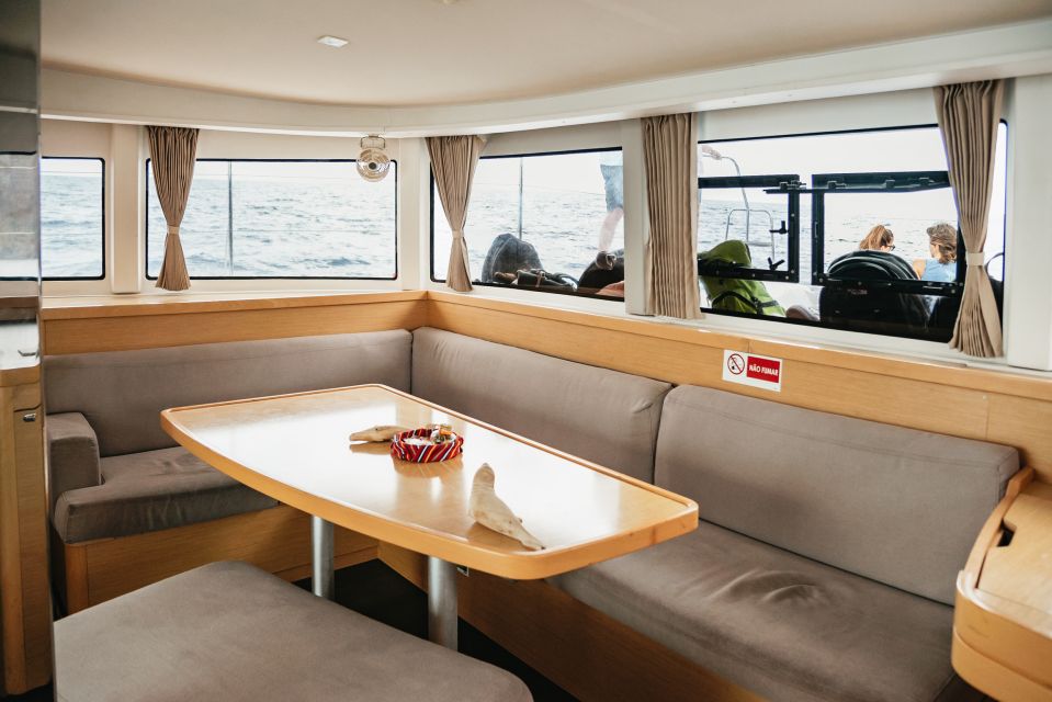 Funchal Bay: Dolphin & Whale Watch Luxury Catamaran Cruise - Who should book this cruise (and who should think twice)