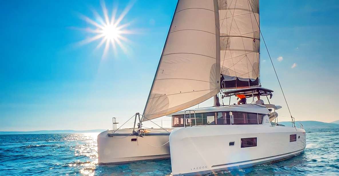 Funchal Bay: Dolphin & Whale Watch Luxury Catamaran Cruise - Dolphin and whale watching from Funchal Bay: what to expect