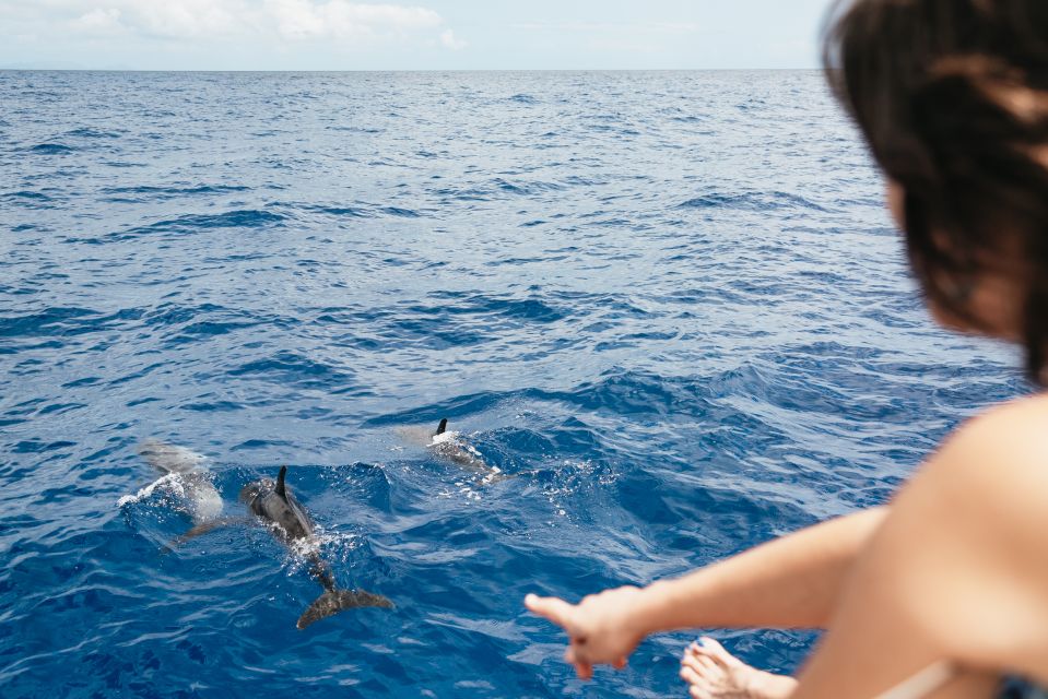 Funchal Bay: Dolphin & Whale Watch Luxury Catamaran Cruise - The secret stop feel: guided nature talk without the lecture