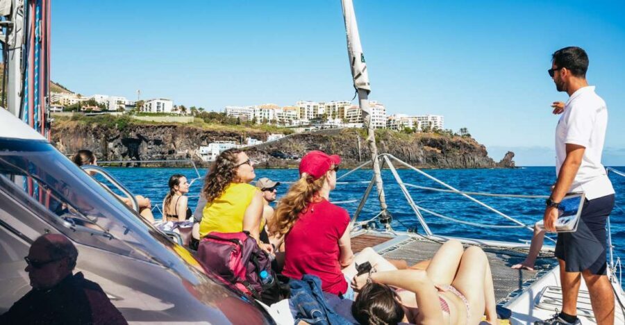 Funchal: Dolphin and Whale Watching by Luxury Catamaran - Key things to know before you go