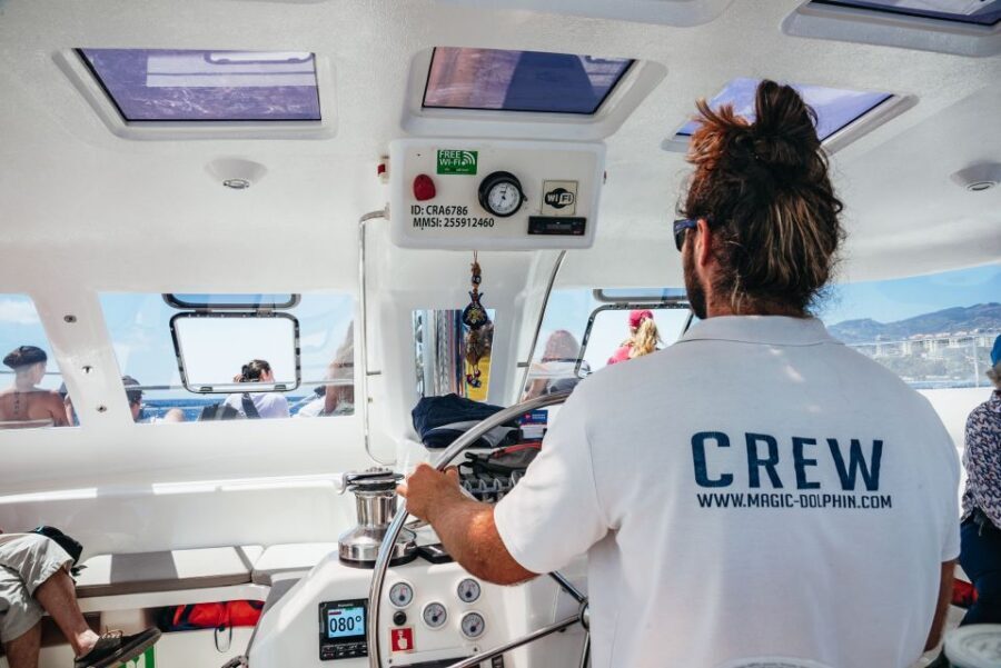 Funchal: Dolphin and Whale Watching by Luxury Catamaran - Who this tour fits best (and who should skip it)