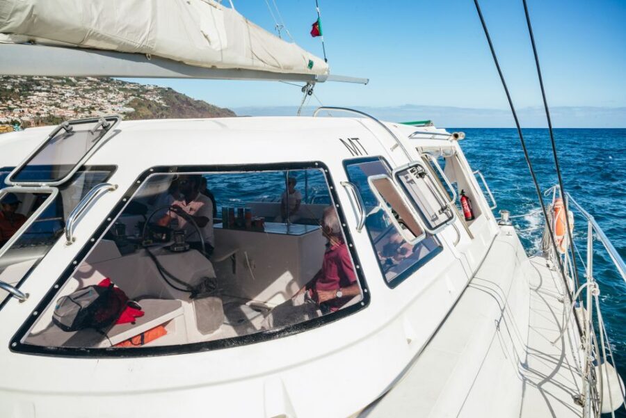 Funchal: Dolphin and Whale Watching by Luxury Catamaran - Entering Madeira’s deep-blue viewing zone from Funchal Marina