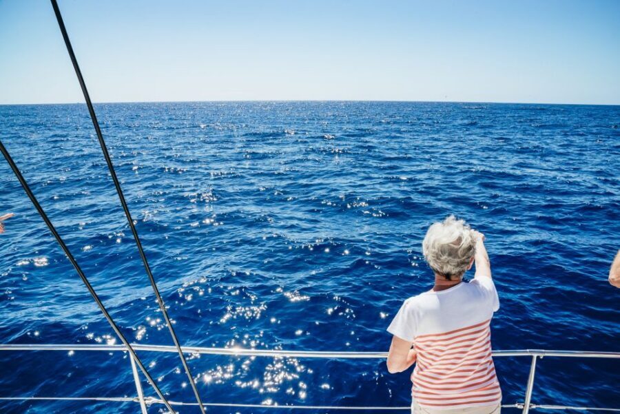 Funchal: Dolphin and Whale Watching by Luxury Catamaran - Sailing out: using the crew’s spotting skills along Funchal’s bay