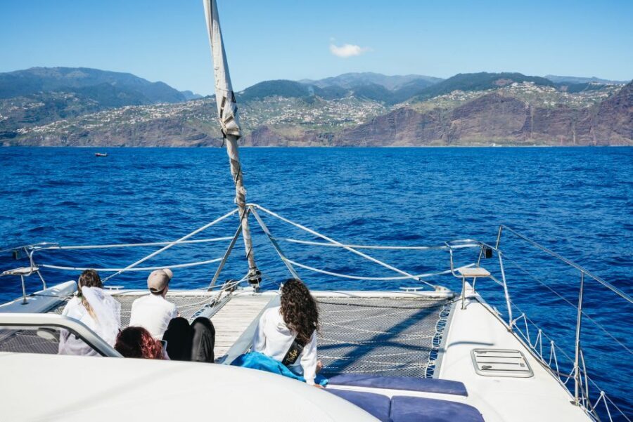 Funchal: Dolphin and Whale Watching by Luxury Catamaran - Cabo Girão: the world-class sea cliff anchoring your experience