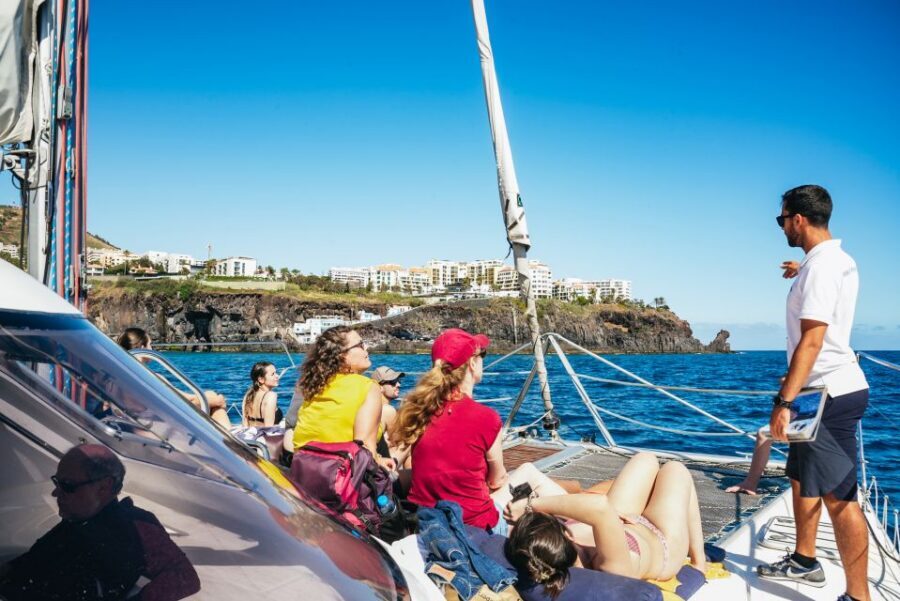 Funchal: Dolphin and Whale Watching by Luxury Catamaran - Wildlife expectations: what you can hope to see (and what you shouldn’t force)