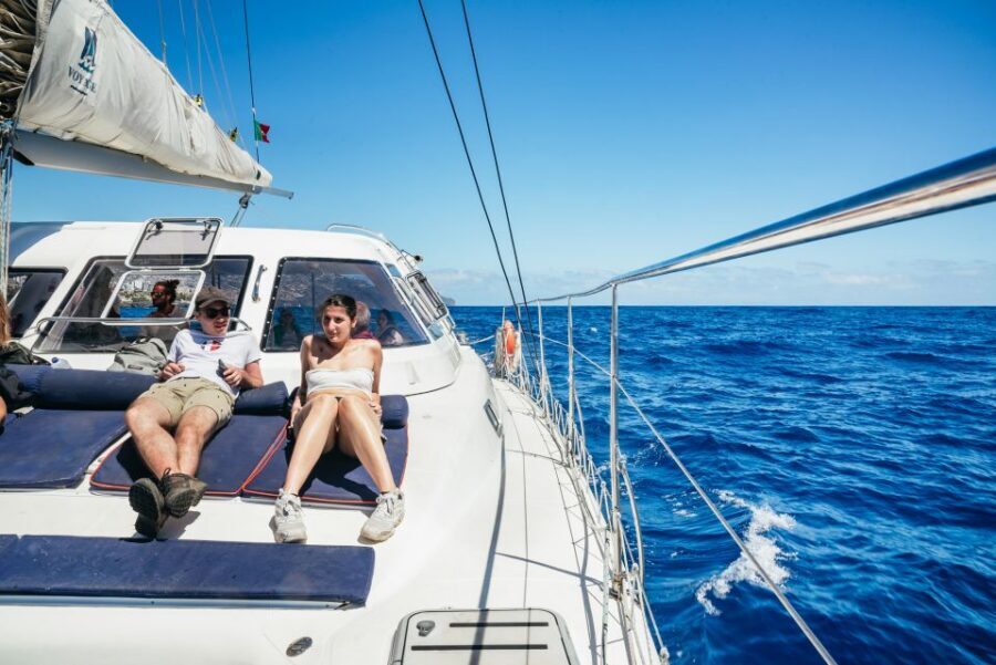 Funchal: Dolphin and Whale Watching by Luxury Catamaran - Timing tips: early morning in July/Aug and how to choose your departure
