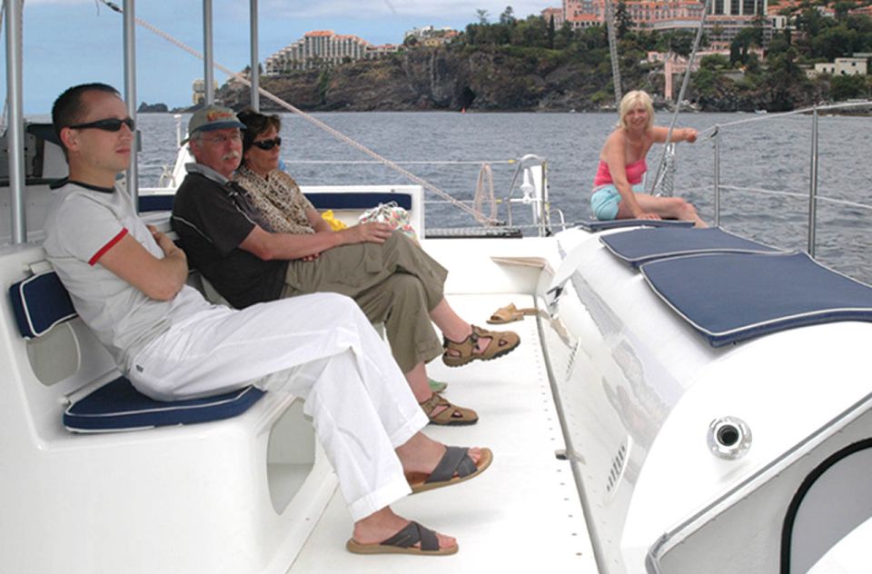 Funchal: Dolphin and Whale Watching Catamaran Cruise - Key things to know before you go