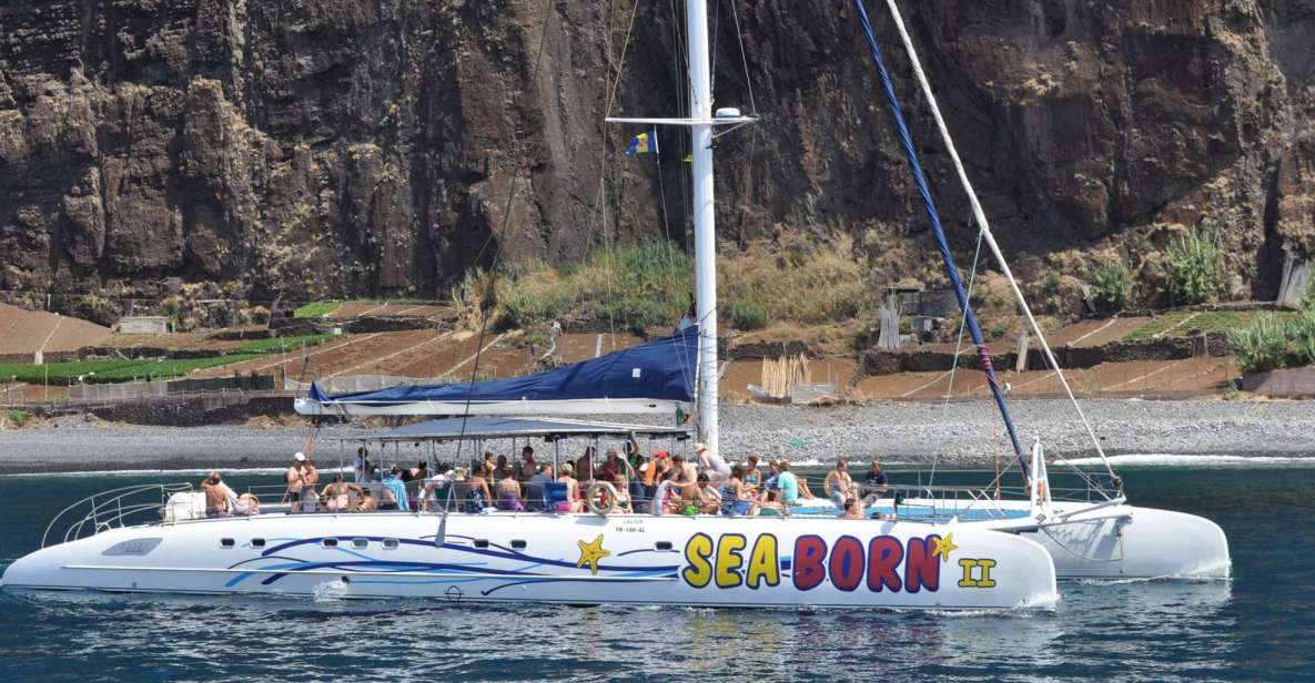 Funchal: Dolphin and Whale Watching Catamaran Cruise - Crew Skills: Friendly Help, Real Rules, and Species Talk