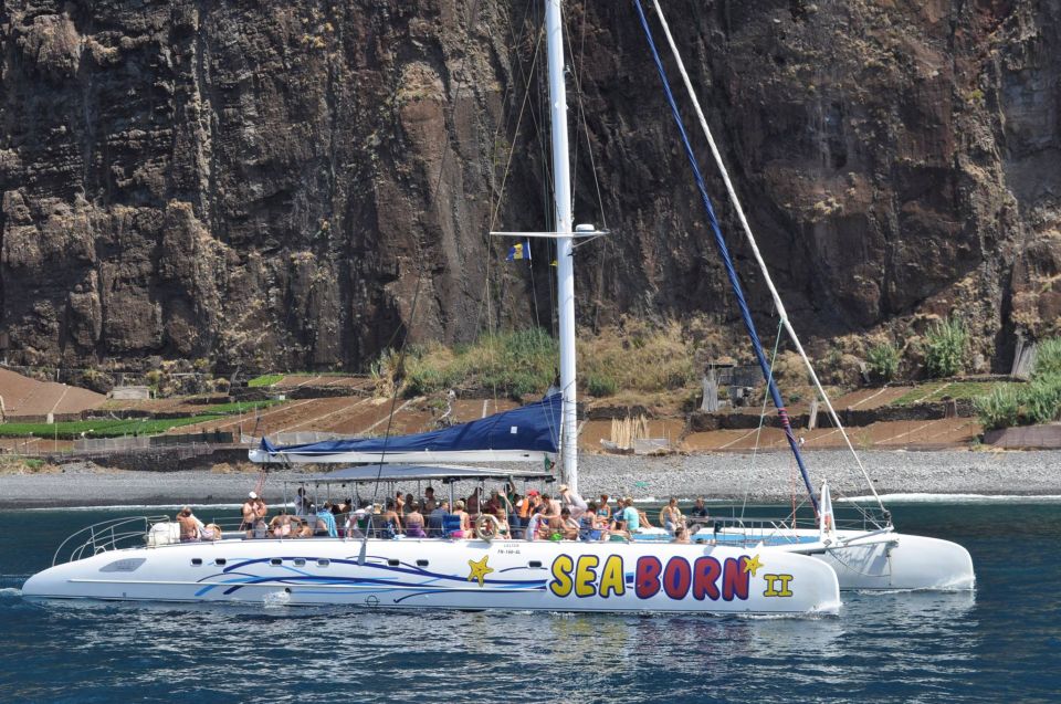 Funchal: Dolphin and Whale Watching Catamaran Cruise - Drinks on Board vs. Extra Expenses: The Real Value Math
