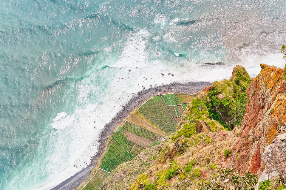 Funchal: Dolphin and Whale Watching Sailing Trip - Cabo Girão Boat Trip Essentials: What Makes This 3 Hours Work