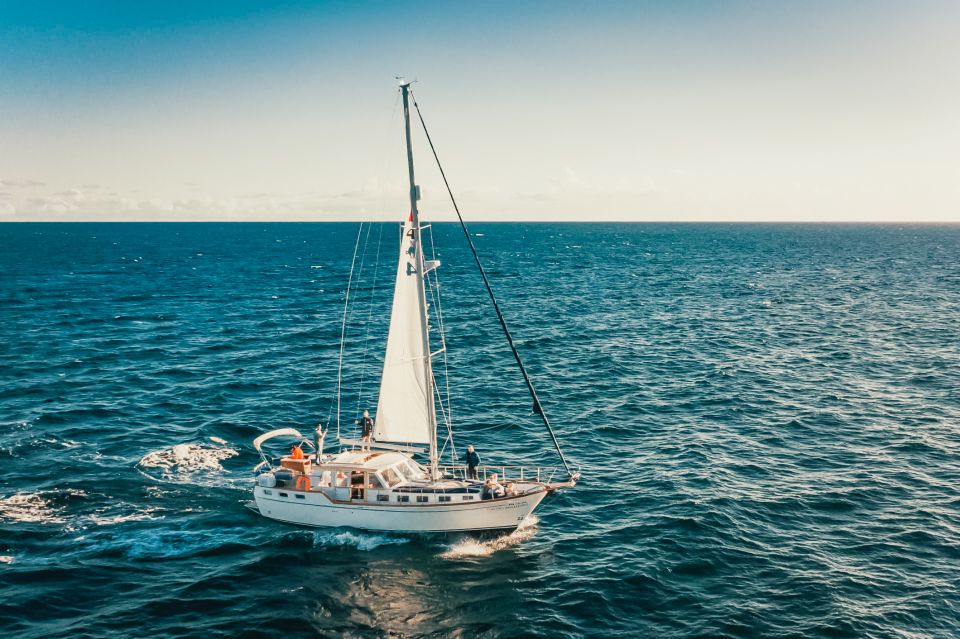 Funchal: Dolphin and Whale Watching Sailing Trip - FAQ