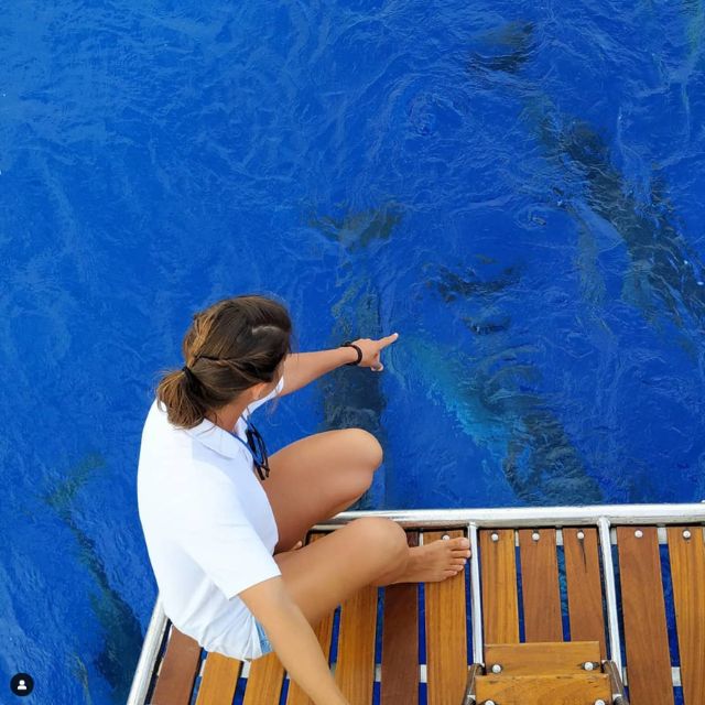 Funchal: Dolphin and Whale Watching Sailing Trip - Where You Start in Funchal (and How Not to Get Flustered)