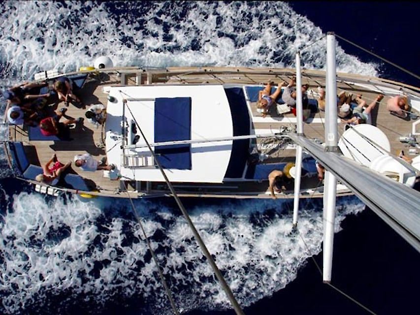 Funchal: Dolphin and Whale Watching Sailing Trip - Should You Book the Gaviao Madeira Trip from Funchal?