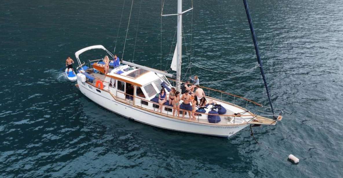 Funchal: Dolphin and Whale Watching Sailing Trip - From Funchal Marina to 3 Miles Offshore: The Real Wildlife Scanning