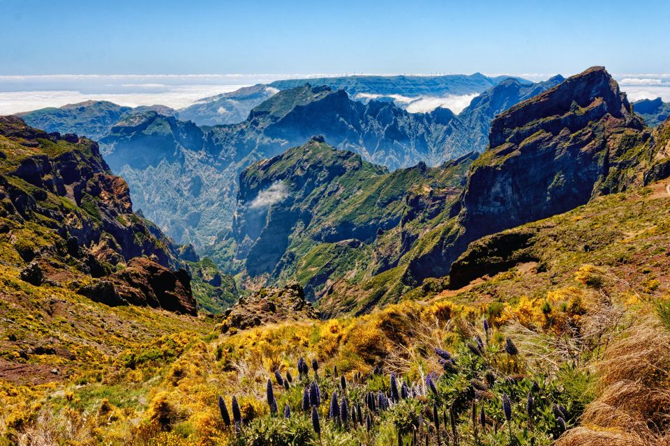 Funchal: East Madeira Island Guided Tour & Laurissilva Walk - Faial viewpoint stop: quick photos over Madeira’s northeast coast