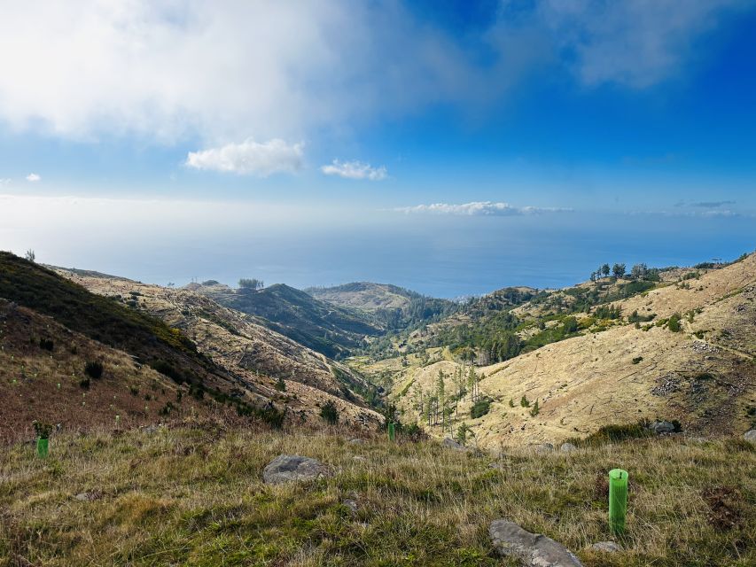 Funchal: East Madeira Island Guided Tour & Laurissilva Walk - Porto da Cruz and North Mills Distillery: rum tasting with a real origin story