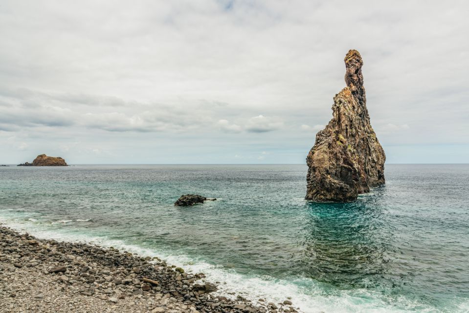 Funchal: Enchanted Terraces, Porto do Moniz & Fanal 4WD Tour - Fanal Forest and the Laurisilva Walk: Big Trees, Cooler Air