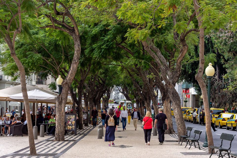 Funchal: Old Town Walking Tour - The 19th-century sweet factory: Madeira’s sugar legacy in your hands