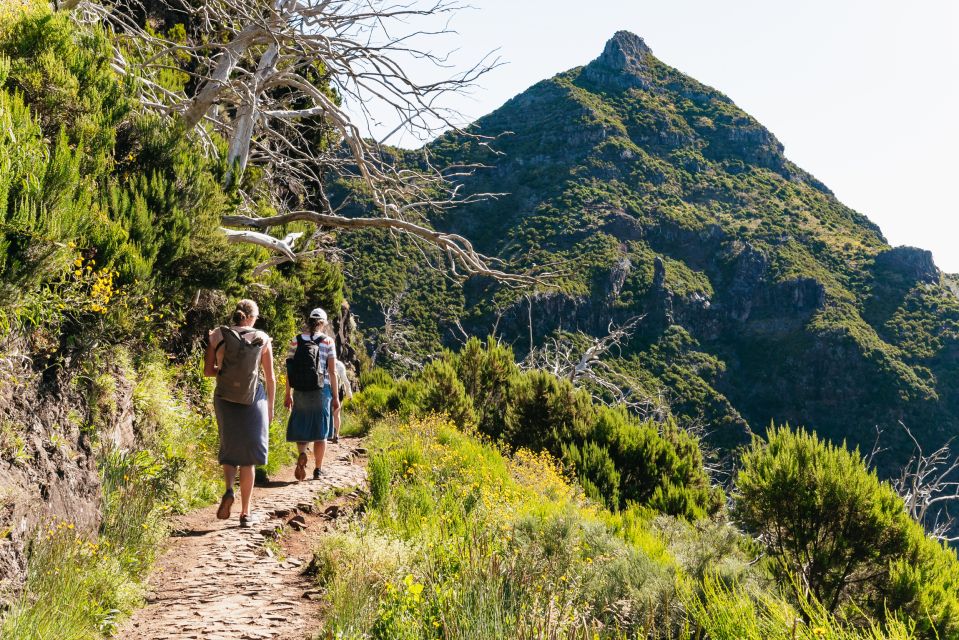 Funchal: Pico do Arieiro Sunrise Hiking Transfer - Key highlights you’ll feel the moment you start