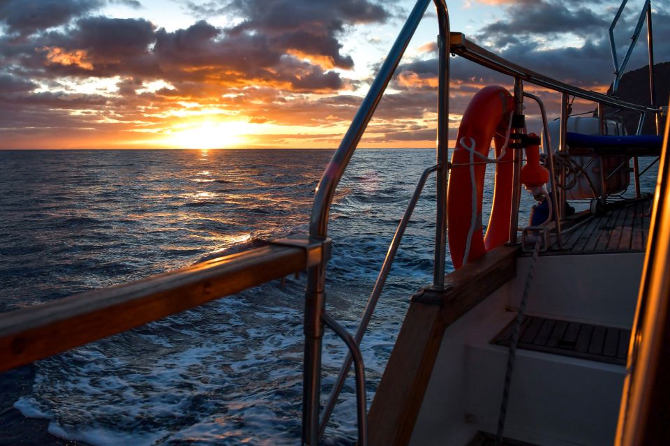 Funchal: Sunset Sailing Tour - From Praça do Povo to open water in Funchal (and why the yacht matters)