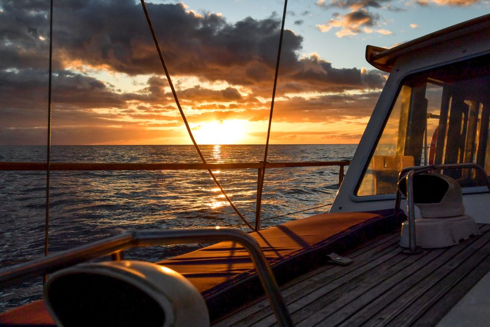 Funchal: Sunset Sailing Tour - Wildlife watch: dolphins and whales, but treat it like a bonus