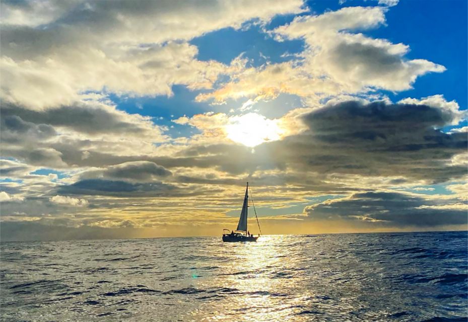 Funchal: Sunset Sailing Tour - Timing and sea conditions: how to avoid the one bad variable
