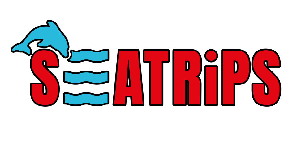 Lagos: Combo Dolphin and Benagil Tour with Marine Biologist - Key Things That Make This Combo Tour Worth It