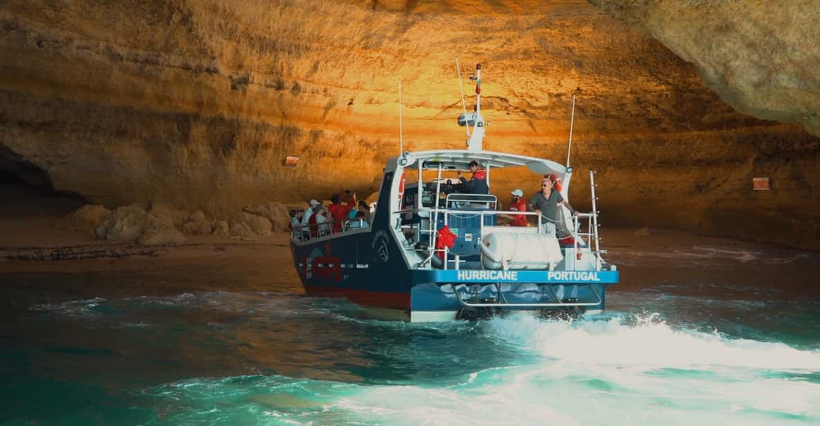 Lagos: Combo Dolphin and Benagil Tour with Marine Biologist - Wild Dolphins With Marine Biologists: What “Searching” Feels Like