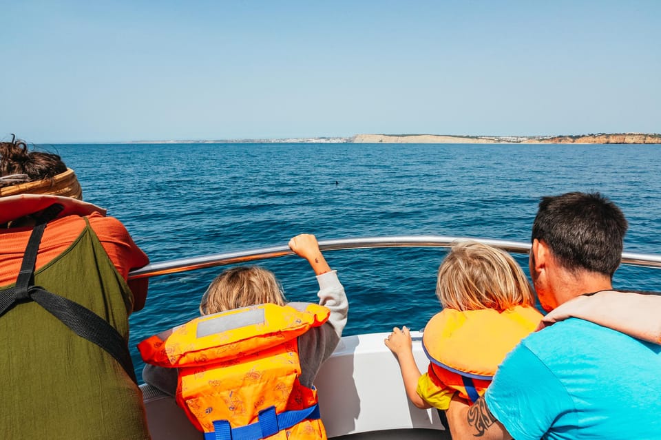 Lagos: Dolphin Watch Tour with Professional Marine Biologist - Why Lagos Dolphins Feel Different From Other Boat Tours