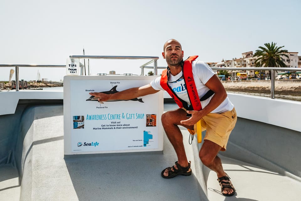 Lagos: Dolphin Watch Tour with Professional Marine Biologist - 1.5 Hours on the Water: From Marina Check-In to Return