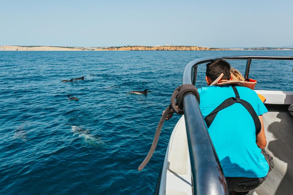 Lagos: Dolphin Watch Tour with Professional Marine Biologist - Comfort, Safety, and Who Should Skip This Speedboat Trip